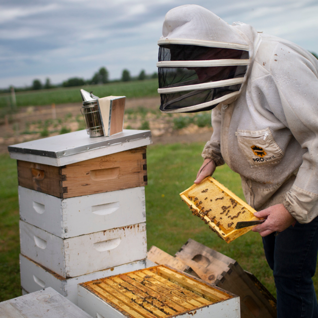 Group Apiary and Honey Tasting Tour - Summer 2023